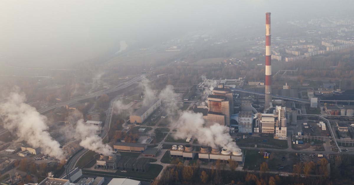 Food Revolution: The Environmental Footprint of Your Plate