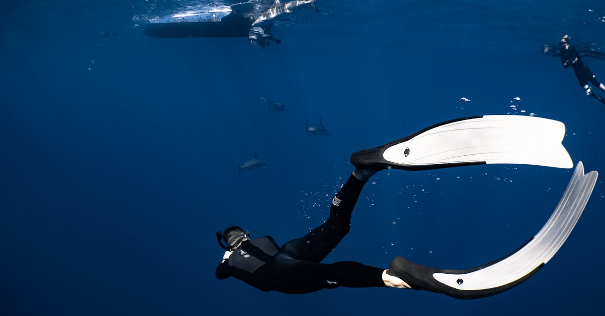 Back view anonymous diver wearing wetsuit and flippers swimming in dark blue seawater