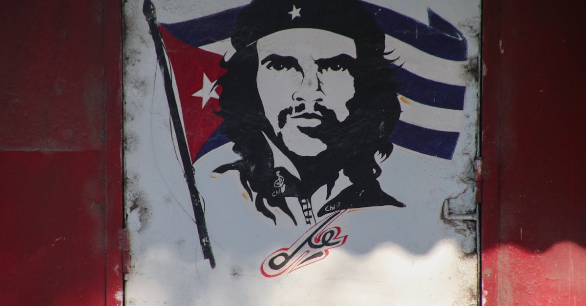 The Food Revolution: Unleashing Your Inner Revolutionary for Sustainable Health and Mindset