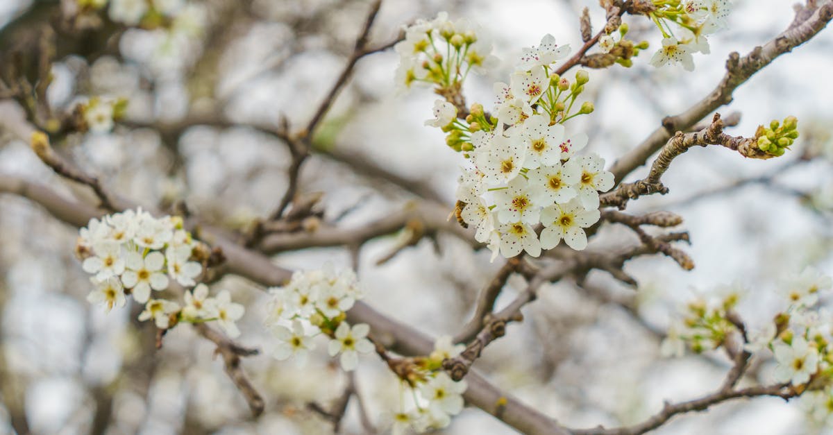 Wellness Awakening Series: The Seasonal Rhythm Method for Year-Round Vitality