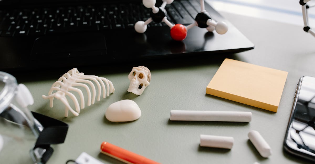A flat lay of a scientific desk with molecular models, rib cage model, and laptop.