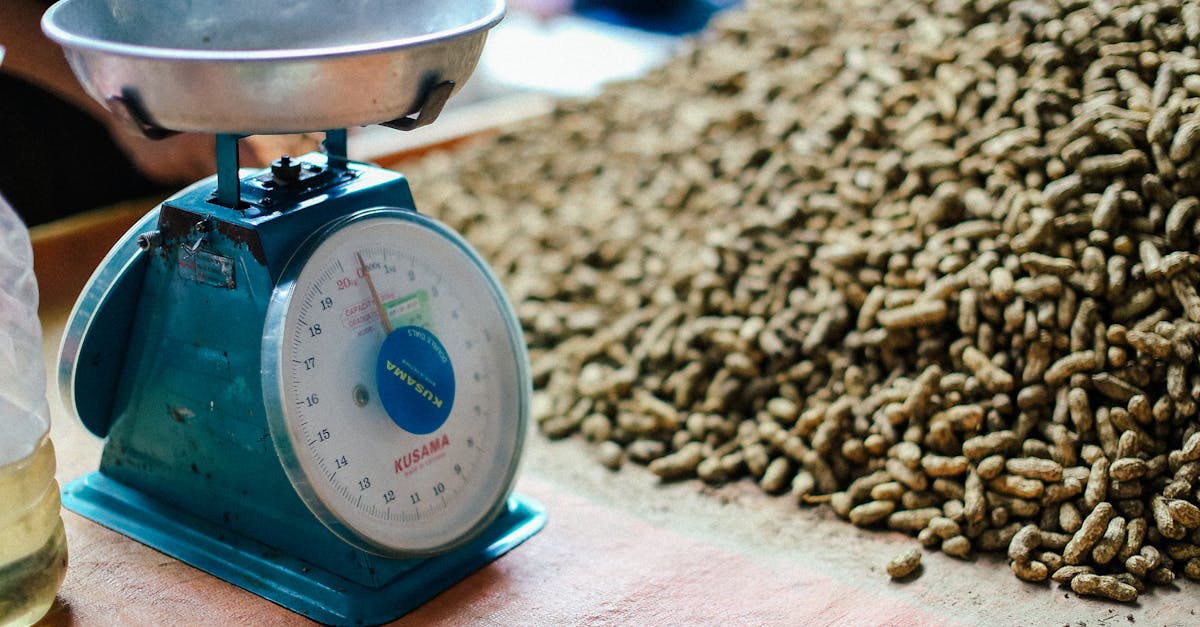 Close-up of a vintage Kusama weight scale beside a large pile of peanuts in natural light.