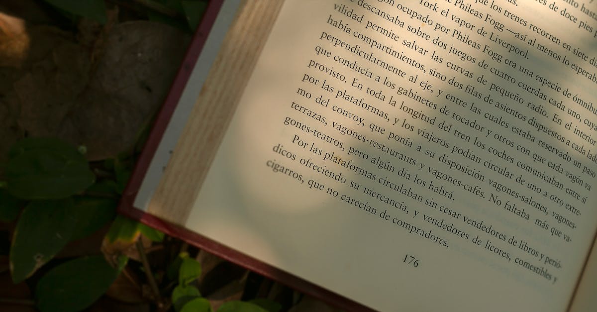 An open book lies on a leafy ground with sunlight illuminating the printed text.