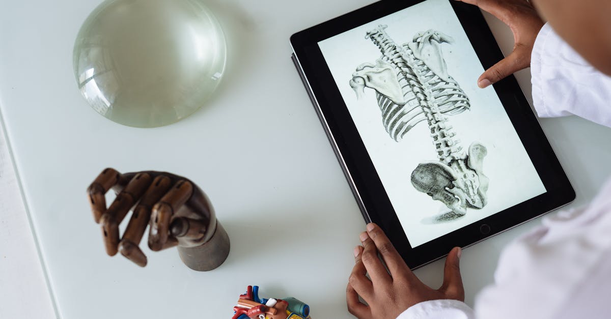 From above of crop student wearing lab coat and studying human skeleton and tissue while surfing tablet at table in science center
