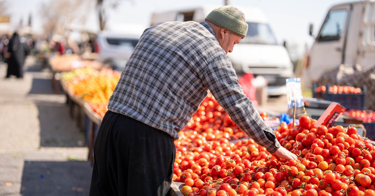 Elderly man choosing ripe tomatoes at a bustling street market in Kahramanmaraş, Turkey.