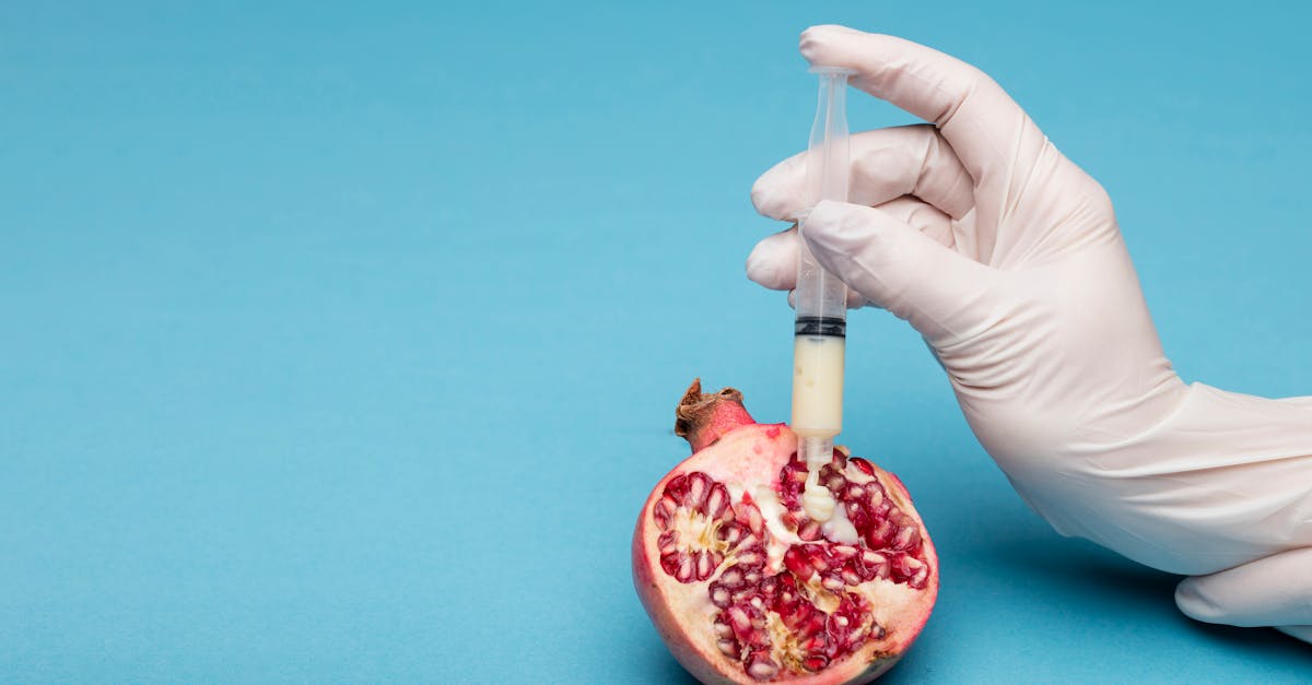 Creative representation of genetic modification with a syringe injecting a pomegranate.