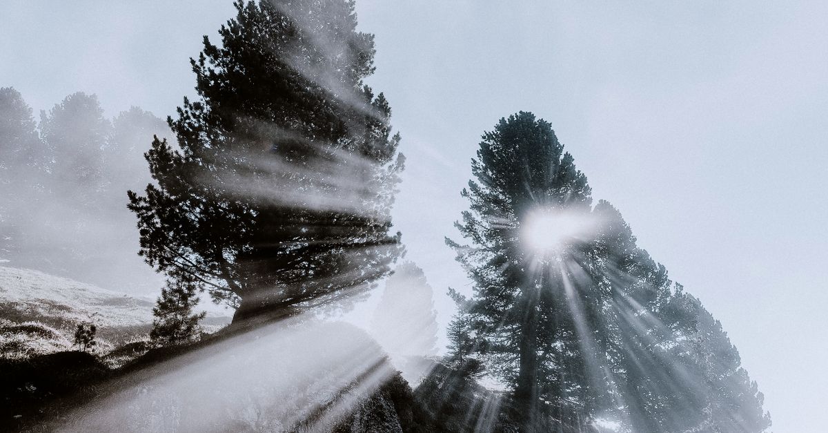 Wellness Awakening Series: A Path to Daily Balance