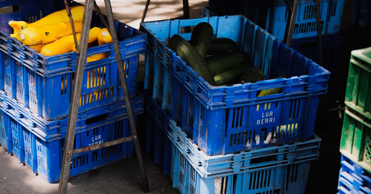 The Food Revolution: A Practical Guide to Modern Eating