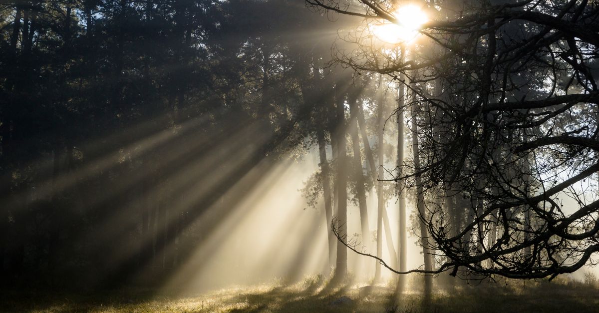 Wellness Awakening Series: How to Reset Your Daily Routine