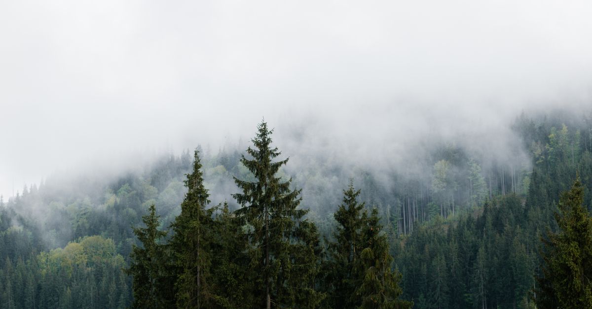 How to Begin Your Wellness Awakening Journey
