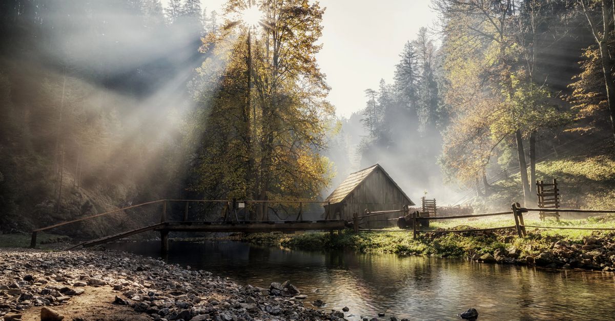 Simple Habits for a Complete Wellness Awakening
