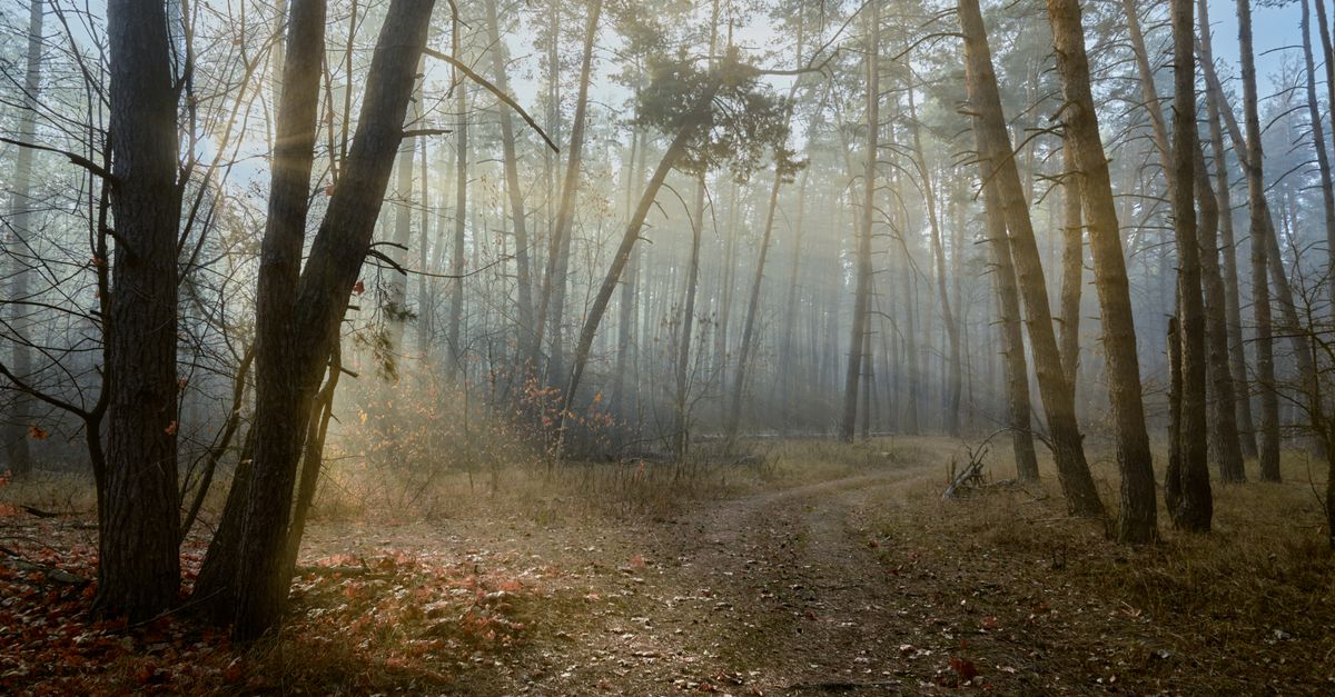 Ways to feel more energized every day